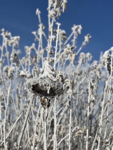 Winter auf der Schwäbischen Alb 05 - Bilder der Urlaubsidylle Alb - das Pflegehotel