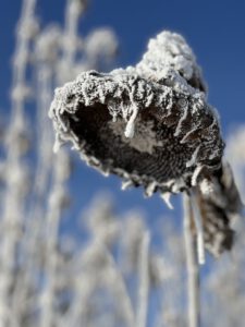 Winter auf der Schwäbischen Alb 06 - Bilder der Urlaubsidylle Alb - das Pflegehotel