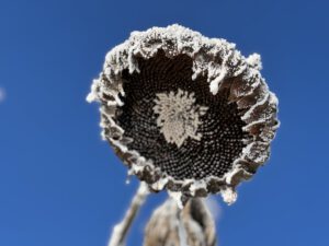 Winter auf der Schwäbischen Alb 07 - Bilder der Urlaubsidylle Alb - das Pflegehotel