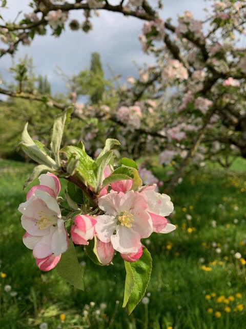 Urlaubsidylle Alb - Pflegehotel Garten - Umgebung